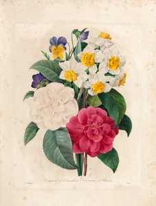 Bukett av kamelia, narcisser och penséer, graverad av Victor, från "Val av de vackraste blommorna och de vackraste frukterna", Vol. I, 1827-33